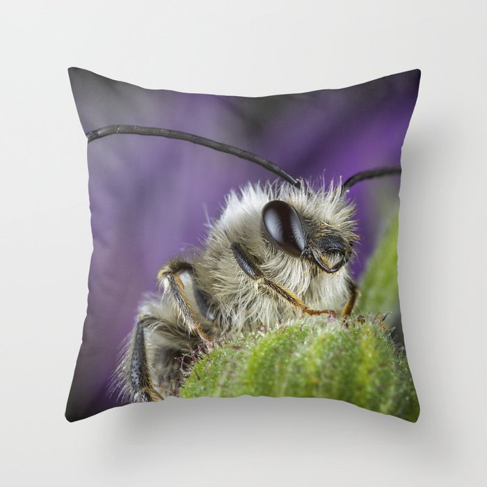 Little bee posing Throw Pillow
