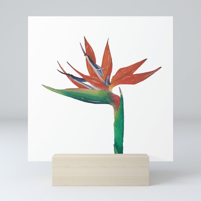 The Bird Of Paradise Mini Art Print By Aurorainlalaland Society6 The Bird Of Paradise Mini Art Print By