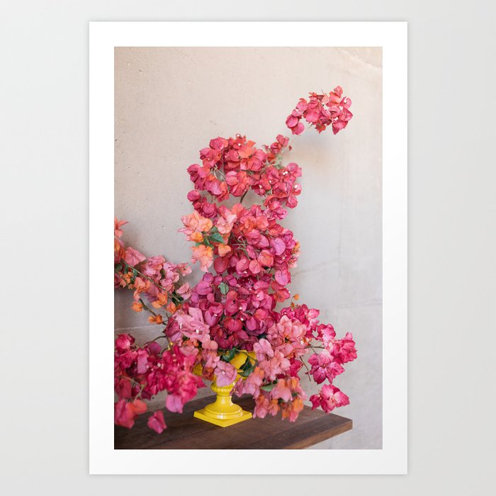 Blooming Mexico in a Vase Art Print