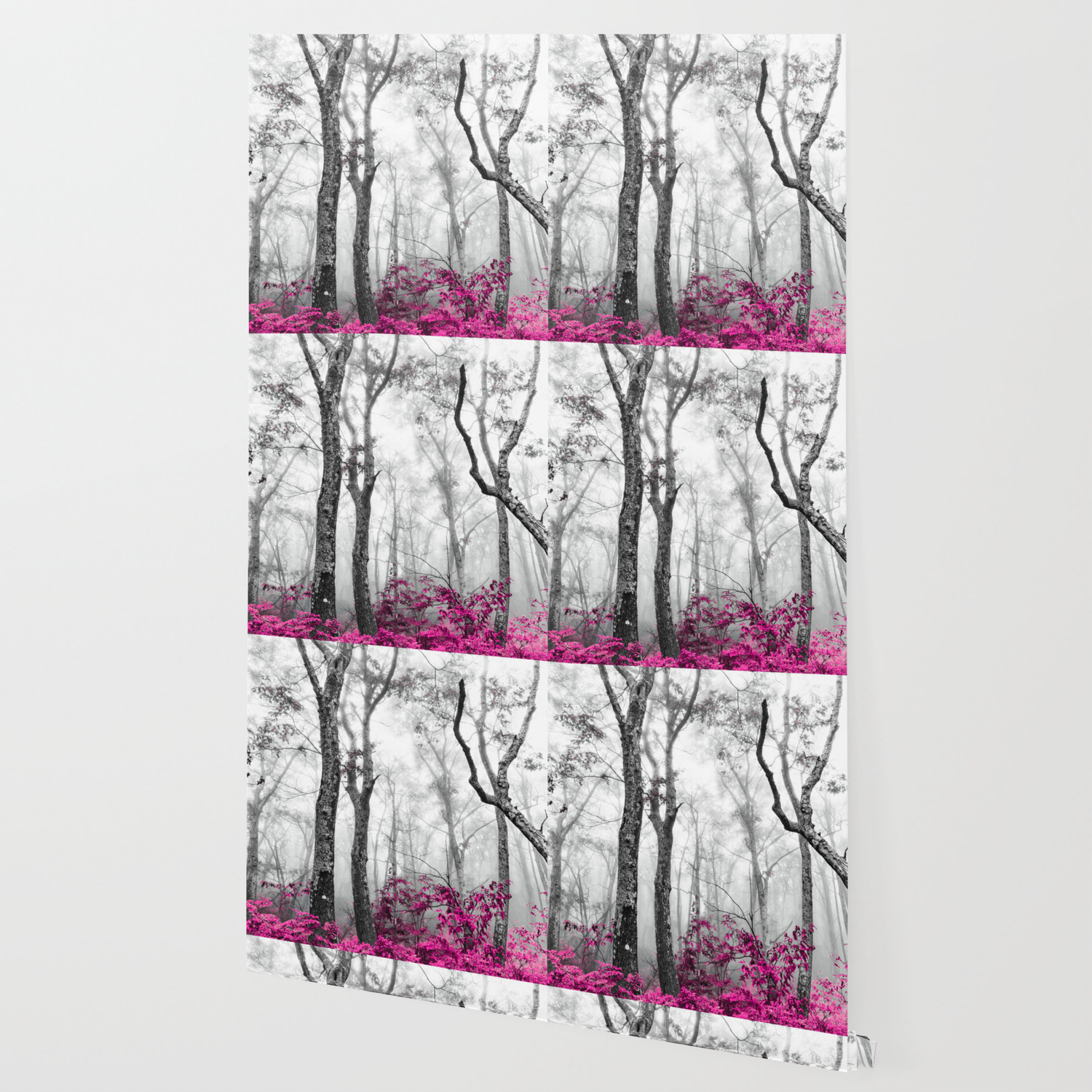 society6