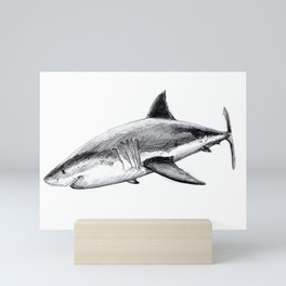 Great white shark (Carcharodon carcharias) Mini Art Print