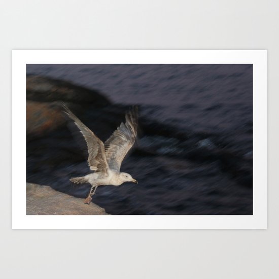 Fly Away Art Print
