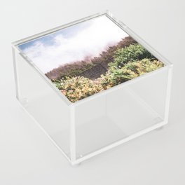 Coastal Fog and Forest | PNW Nature Photography Acrylic Box
