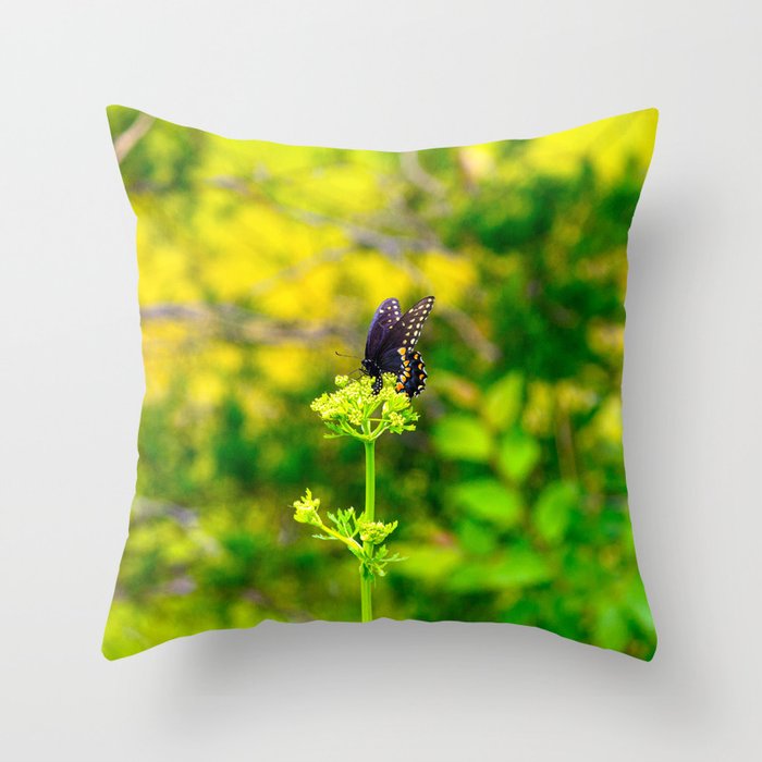Spicebush Swallowtail Butterfly Throw Pillow