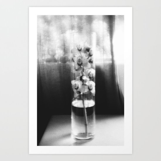orchid in glass Art Print