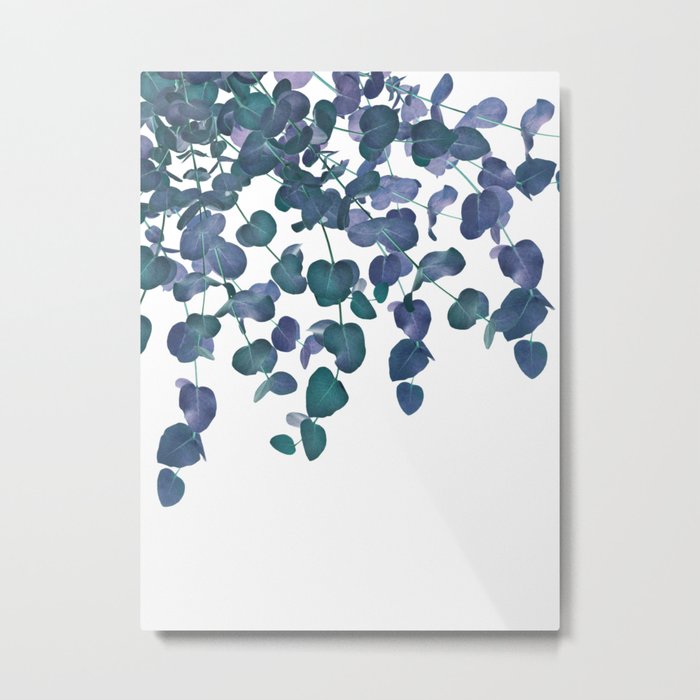 Eucalyptus Delight #3 #foliage #decor #art #society6  Metal Print