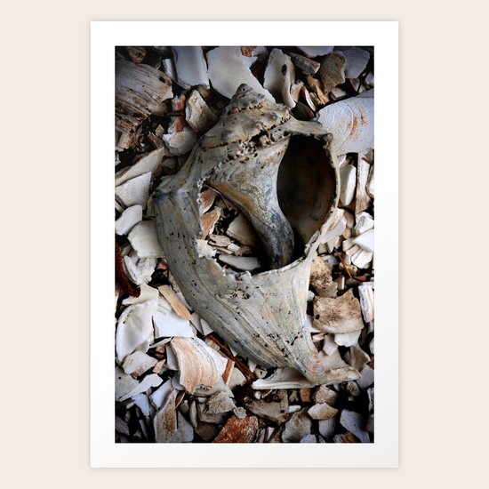 Shattered Art Print
