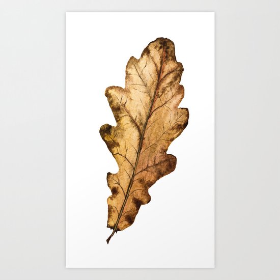 Autumn Leaf 01 Art Print