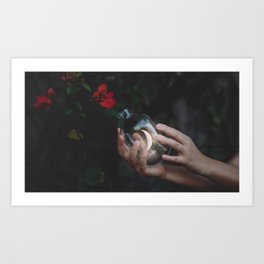 An Endless Romance with the Unknown Art Print