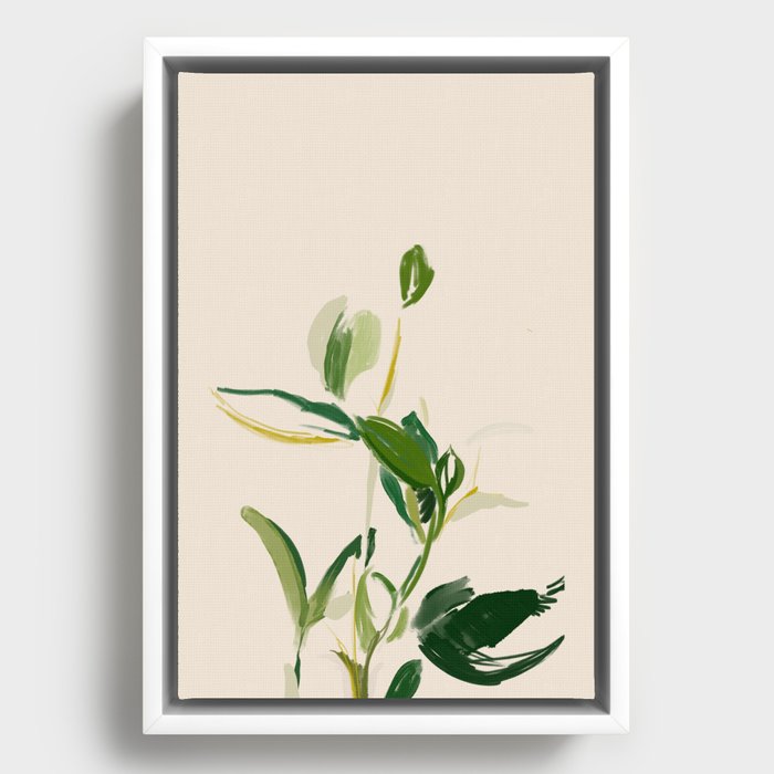 Framed Canvas