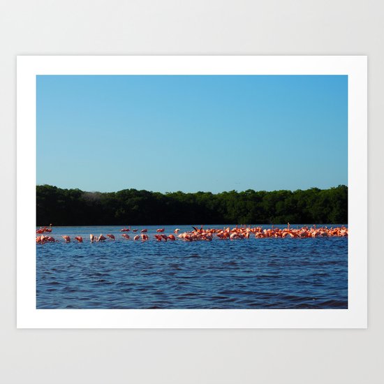 Flamingos in Celestun Art Print