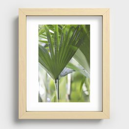 Palm Leaves Recessed Framed Print