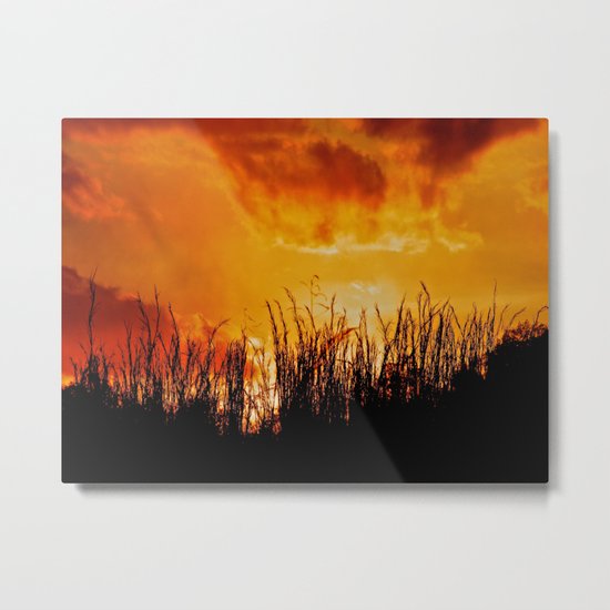 As the Day Fades Metal Print