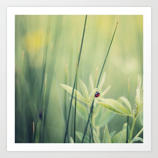 Your Own Art Print