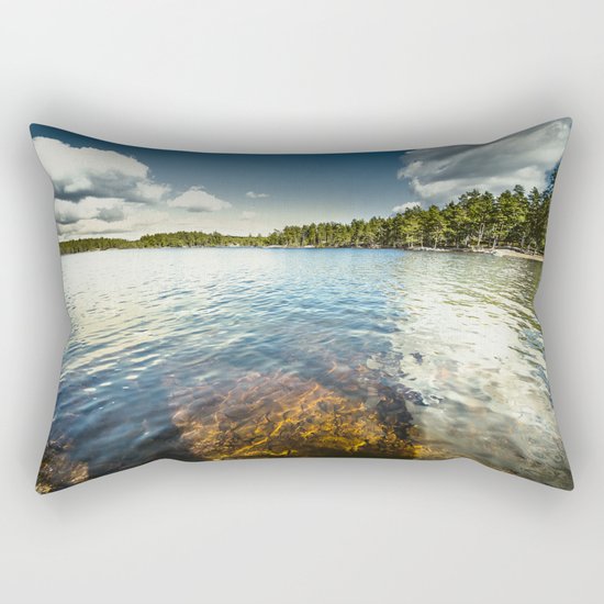 End of the road II Rectangular Pillow