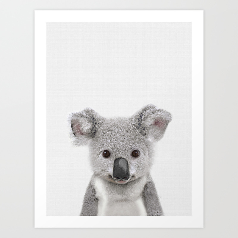 Animal Print A Koala Wall Art Koala Print Black and White Koala Koala Poster