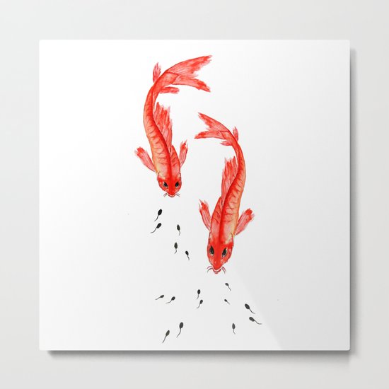 Curiosity. Fish and Tabpole Metal Print