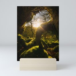 Ireland Wild Forest (RR01) Mini Art Print