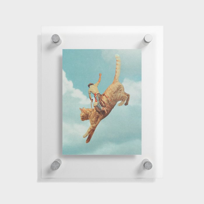 Meehaw - Rodeo Cat / Bronc Floating Acrylic Print