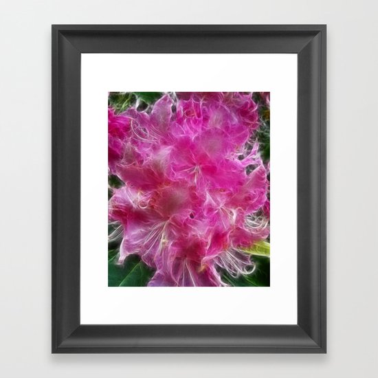 Pink Rhododendron Framed Art Print