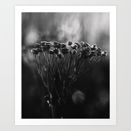 cold still life Art Print