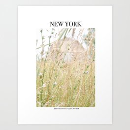 UPSTATE NEW YORK Art Print