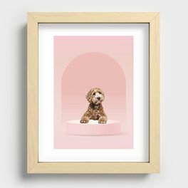 Goldendoodle Laying on Pastel Pink Podium Recessed Framed Print