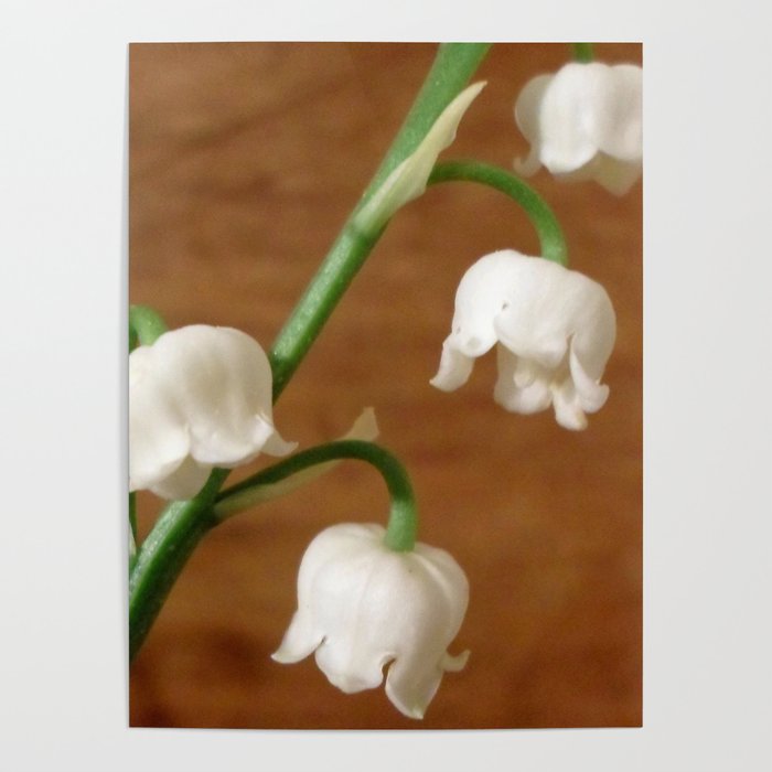 lily of the valley II Poster