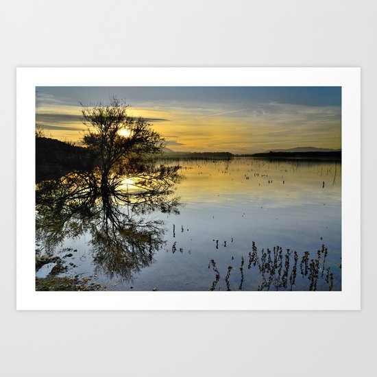 The sun and the water tree Art Print
