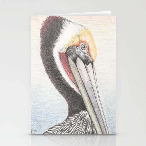 Brown Pelican Stationery Cards