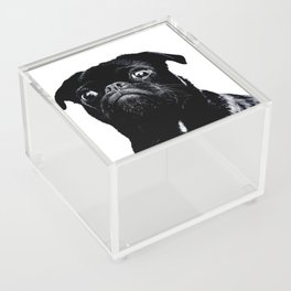 dog Acrylic Box