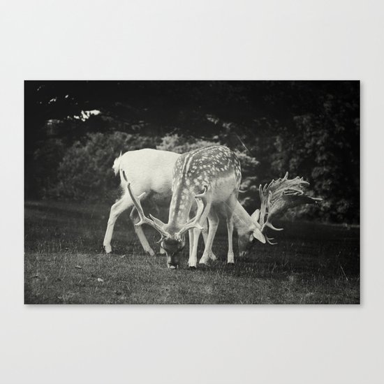 Peace Canvas Print