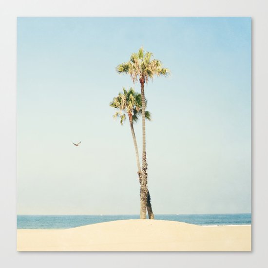 Cali Palm Canvas Print