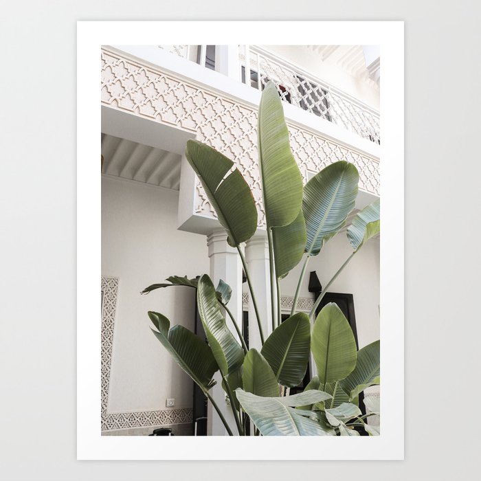 Tropical Plant Leaves Photo | Green Jungle Vibes In Marrakech Art Print | Morocco Travel Photography Art Print