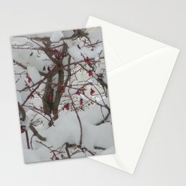 Winter Snow Berry Bush Stationery Card