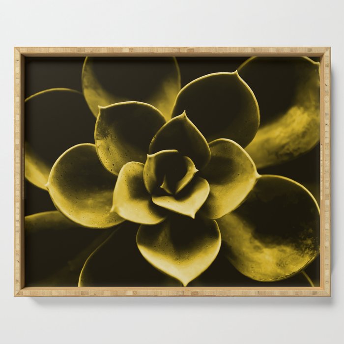 Succulent Plant In Olive Color #decor #society6 #buyart Serving Tray
