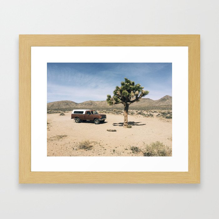 Joshua Tree in Death Valley  Framed Art Print