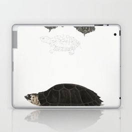 Spotted Terrapin & Thicknecked Terrapin Laptop Skin
