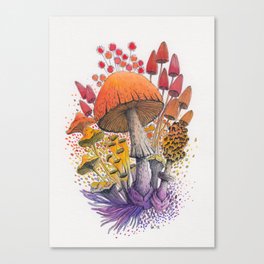 Mushroom Composition #1 Canvas Print