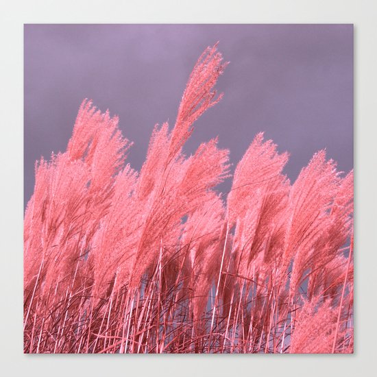 pastel grass Canvas Print