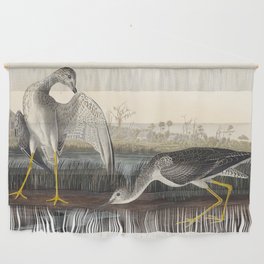 Tell-tale Godwit or Snipe from Birds of America (1827) by John James Audubon  Wall Hanging