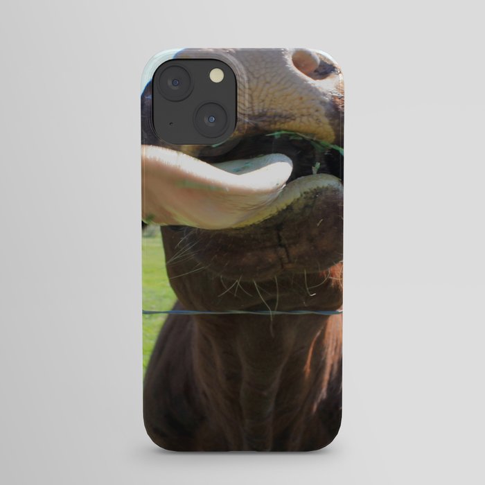 Can I Have a Lick? iPhone Case