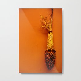 Hanging Corn  Metal Print