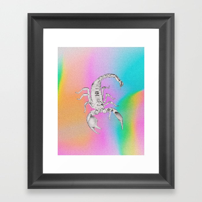 Scorpion Framed Art Print