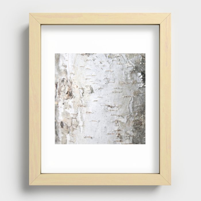Birch Bark Recessed Framed Print