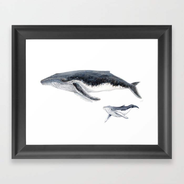 Humpback whale mother and humpback whale baby Framed Art Print