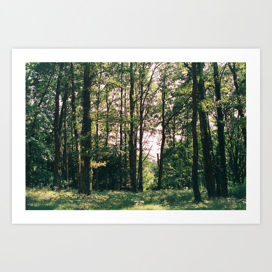 surrounded Art Print