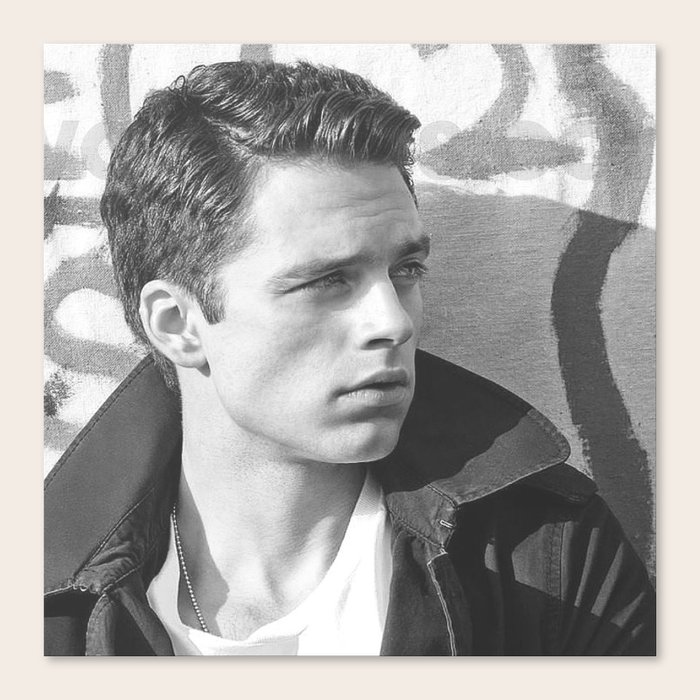 Black and White SEBASTIAN STAN #2 Canvas Print by Sarah Josephine ...