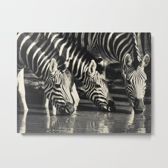 Water Hole Metal Print
