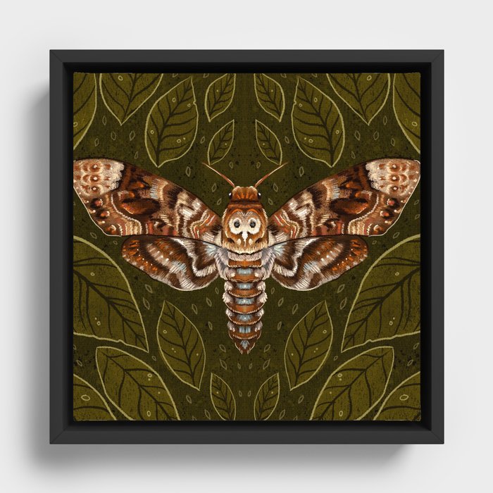 Framed Canvas